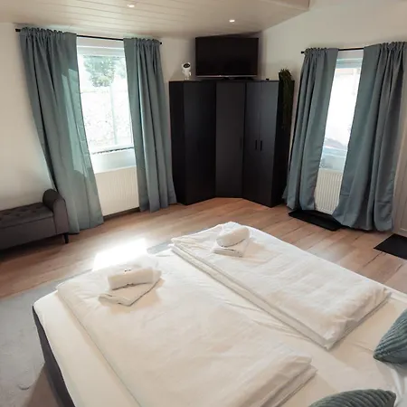 Wohlfuehlapartment - 公寓 金策尔